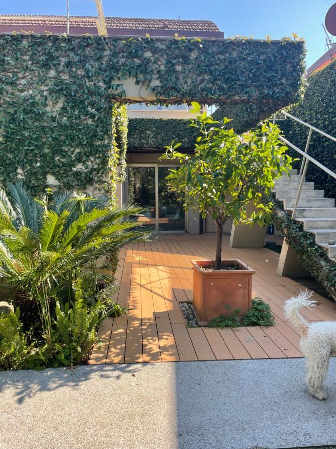 Joey Apartment Pietrasanta Bagian luar foto